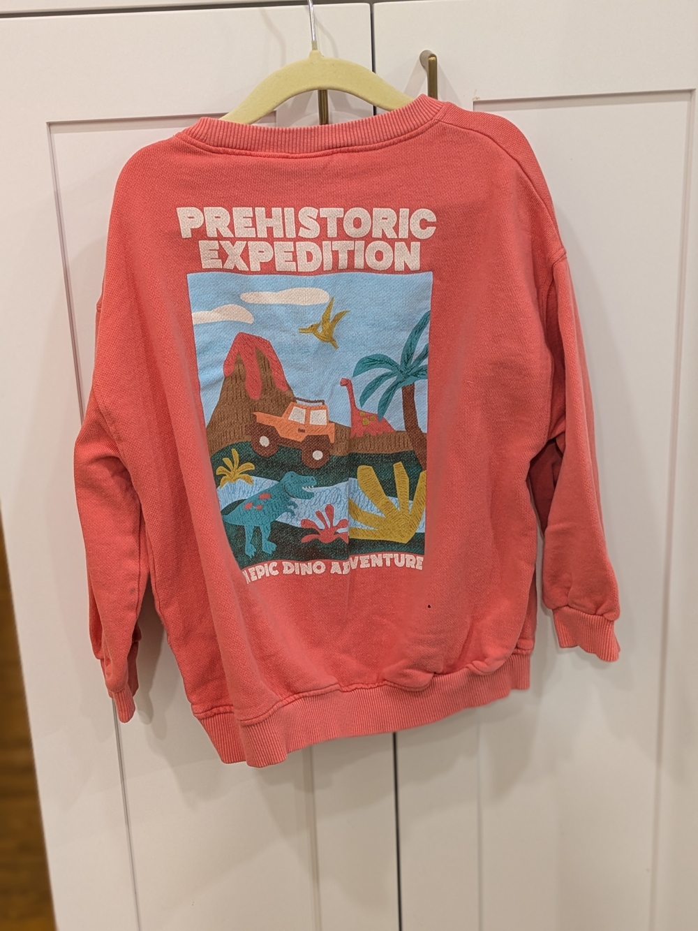 Zara Coral Pink 'Prehistoric Expedition' Crewneck Sweatshirt - Picture 3 of 3
